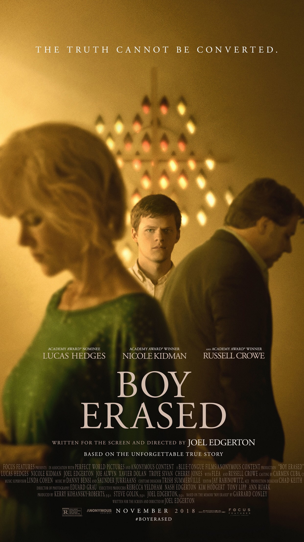 boy erased 美国电影《被抹去的男孩》海报