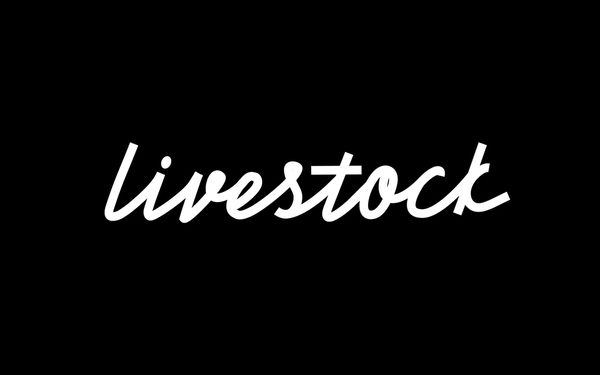 livestock时尚服装品牌设计