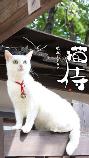 Neko Samurai - 《猫侍》电视剧海报