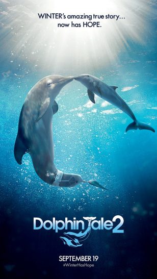 Dolphin Tale 2 - 《一只海豚的传说2》电影海报